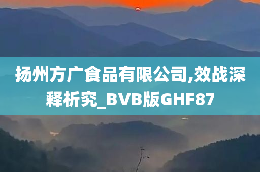 扬州方广食品有限公司,效战深释析究_BVB版GHF87