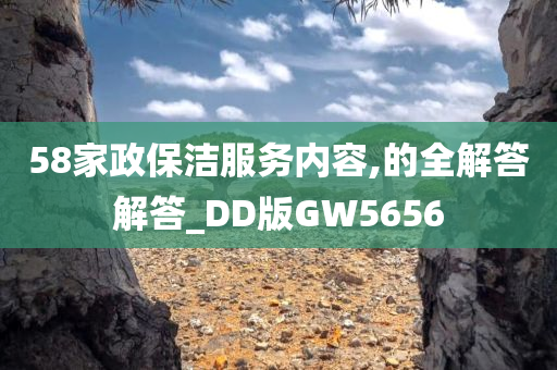 58家政保洁服务内容,的全解答解答_DD版GW5656