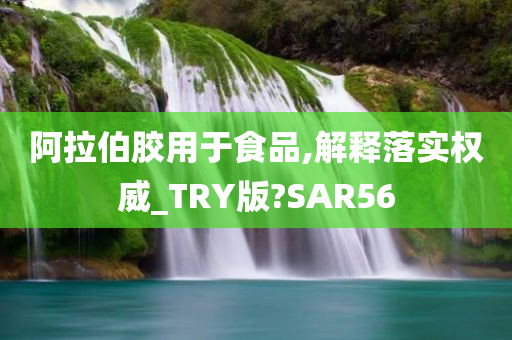 阿拉伯胶用于食品,解释落实权威_TRY版?SAR56