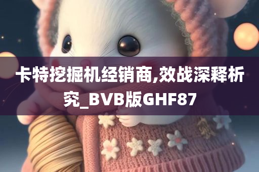 卡特挖掘机经销商,效战深释析究_BVB版GHF87