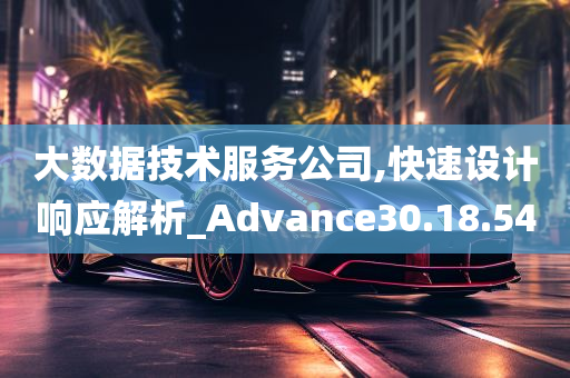 大数据技术服务公司,快速设计响应解析_Advance30.18.54