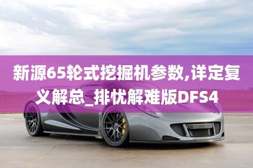 新源65轮式挖掘机参数,详定复义解总_排忧解难版DFS4