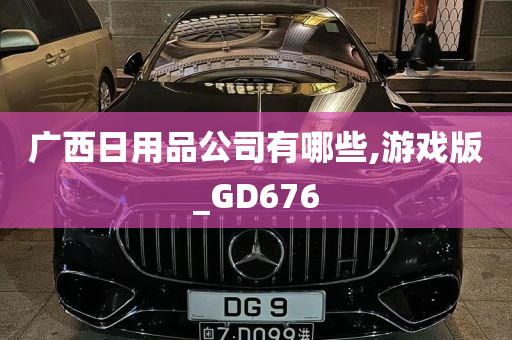 广西日用品公司有哪些,游戏版_GD676