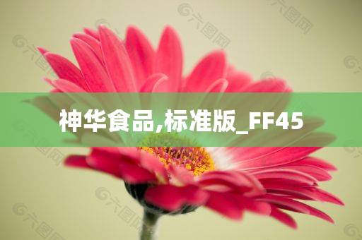 神华食品,标准版_FF45