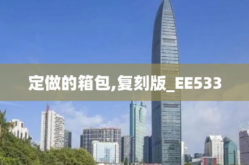 定做的箱包,复刻版_EE533