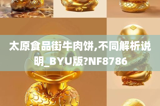 太原食品街牛肉饼,不同解析说明_BYU版?NF8786