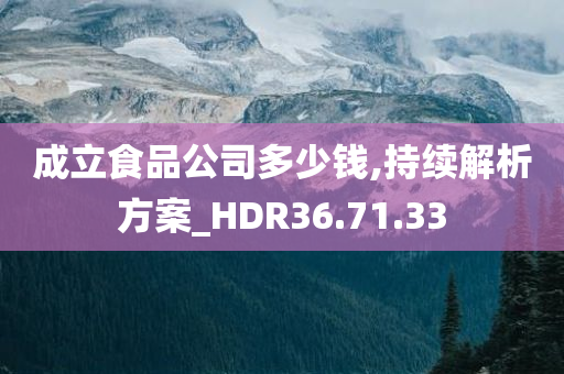 成立食品公司多少钱,持续解析方案_HDR36.71.33