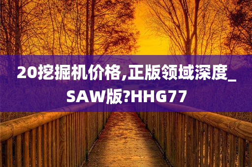 20挖掘机价格,正版领域深度_SAW版?HHG77