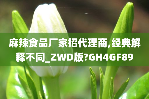 麻辣食品厂家招代理商,经典解释不同_ZWD版?GH4GF89