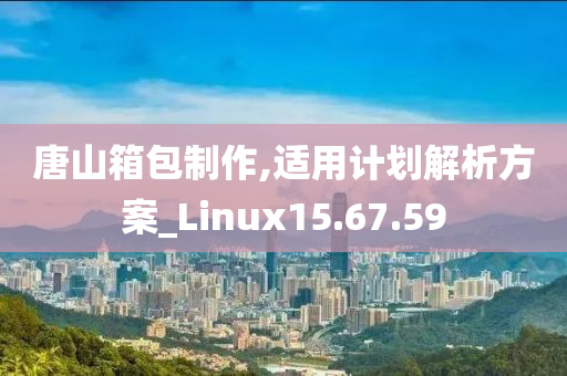 唐山箱包制作,适用计划解析方案_Linux15.67.59