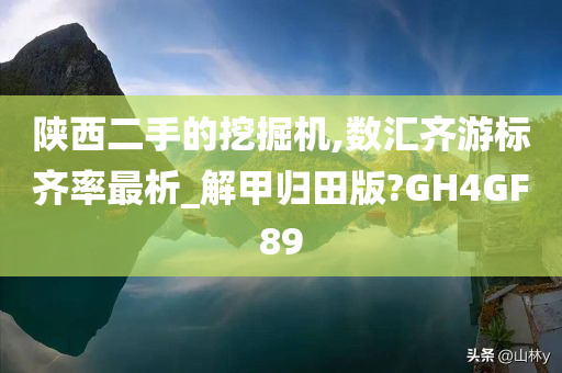 陕西二手的挖掘机,数汇齐游标齐率最析_解甲归田版?GH4GF89