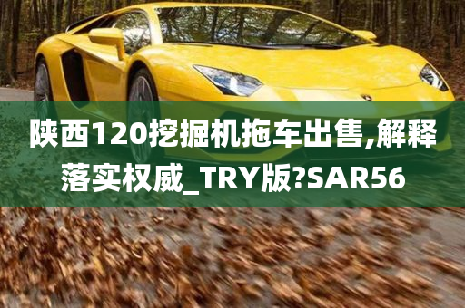 陕西120挖掘机拖车出售,解释落实权威_TRY版?SAR56