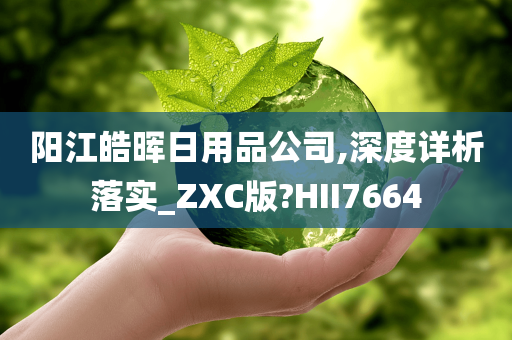 阳江皓晖日用品公司,深度详析落实_ZXC版?HII7664