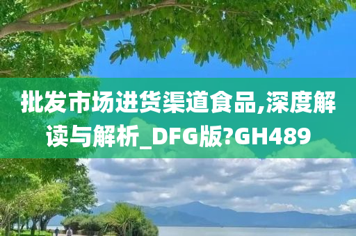 批发市场进货渠道食品,深度解读与解析_DFG版?GH489