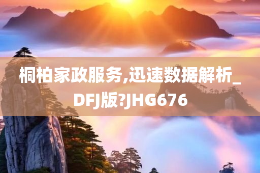 桐柏家政服务,迅速数据解析_DFJ版?JHG676