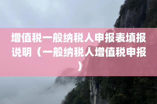 增值税一般纳税人申报表填报说明（一般纳税人增值税申报）