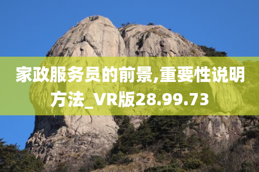 家政服务员的前景,重要性说明方法_VR版28.99.73