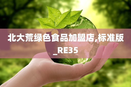 北大荒绿色食品加盟店,标准版_RE35