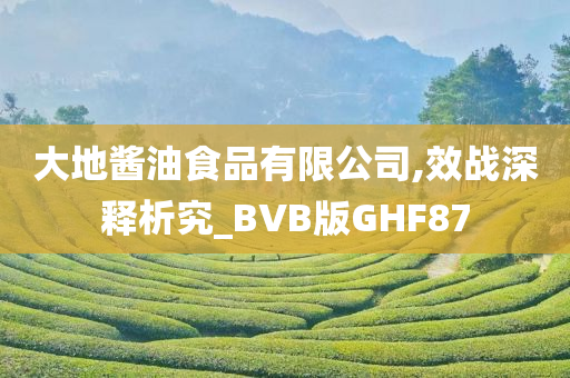 大地酱油食品有限公司,效战深释析究_BVB版GHF87