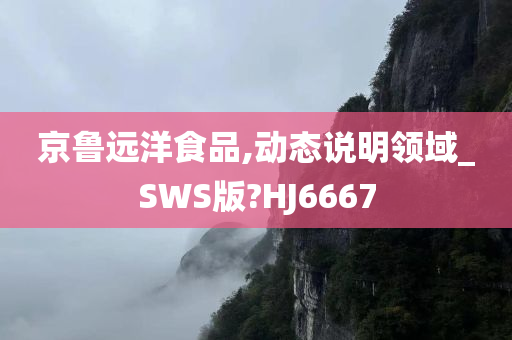 京鲁远洋食品,动态说明领域_SWS版?HJ6667