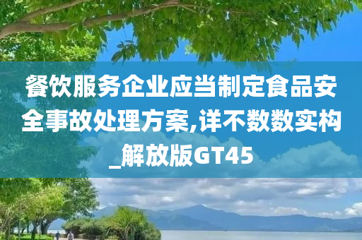 餐饮服务企业应当制定食品安全事故处理方案,详不数数实构_解放版GT45