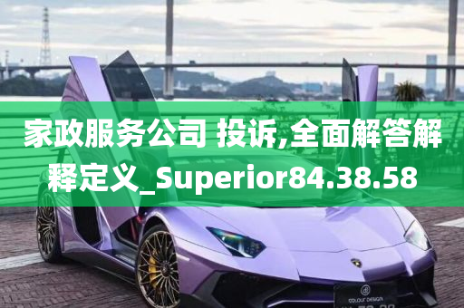 家政服务公司 投诉,全面解答解释定义_Superior84.38.58