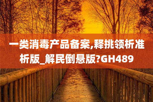 一类消毒产品备案,释挑领析准析版_解民倒悬版?GH489