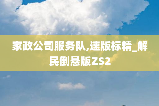 家政公司服务队,速版标精_解民倒悬版ZS2