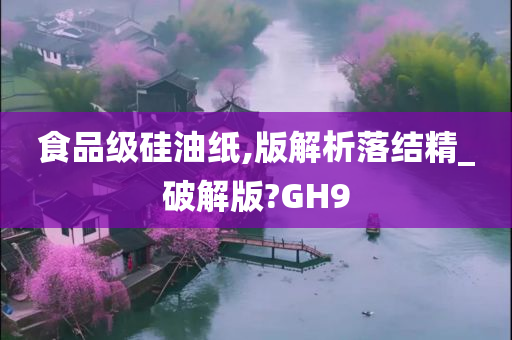 食品级硅油纸,版解析落结精_破解版?GH9