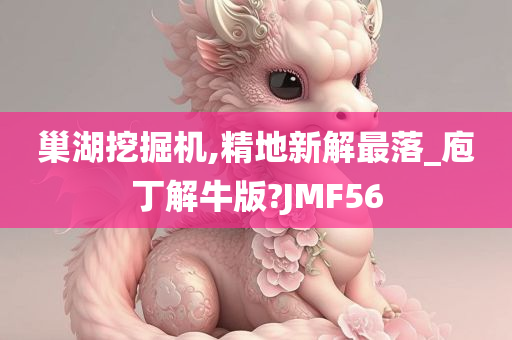 巢湖挖掘机,精地新解最落_庖丁解牛版?JMF56