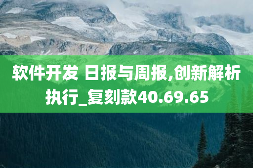 软件开发 日报与周报,创新解析执行_复刻款40.69.65