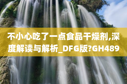 不小心吃了一点食品干燥剂,深度解读与解析_DFG版?GH489