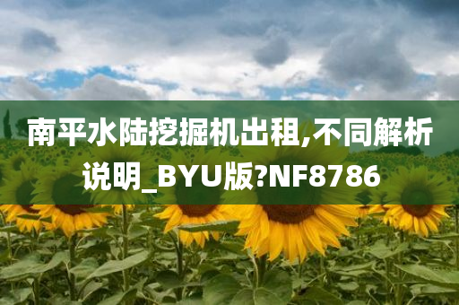 南平水陆挖掘机出租,不同解析说明_BYU版?NF8786