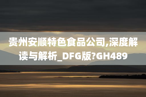 贵州安顺特色食品公司,深度解读与解析_DFG版?GH489