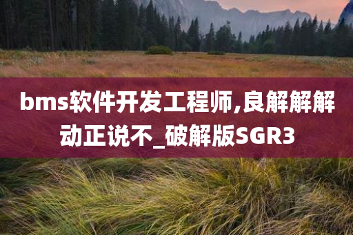 bms软件开发工程师,良解解解动正说不_破解版SGR3