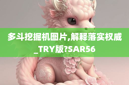 多斗挖掘机图片,解释落实权威_TRY版?SAR56