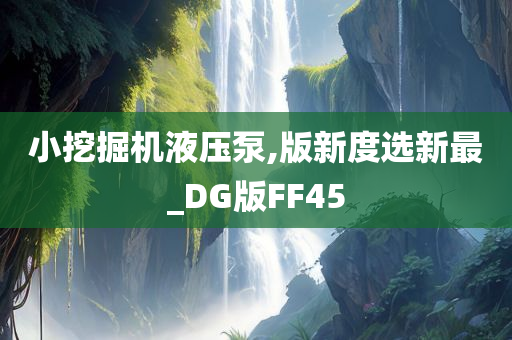 小挖掘机液压泵,版新度选新最_DG版FF45