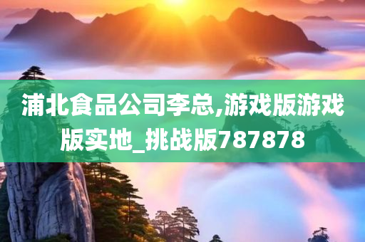 浦北食品公司李总,游戏版游戏版实地_挑战版787878