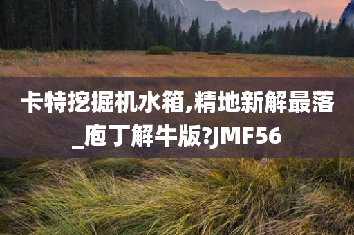 卡特挖掘机水箱,精地新解最落_庖丁解牛版?JMF56