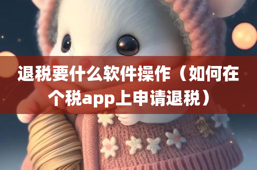 退税要什么软件操作（如何在个税app上申请退税）