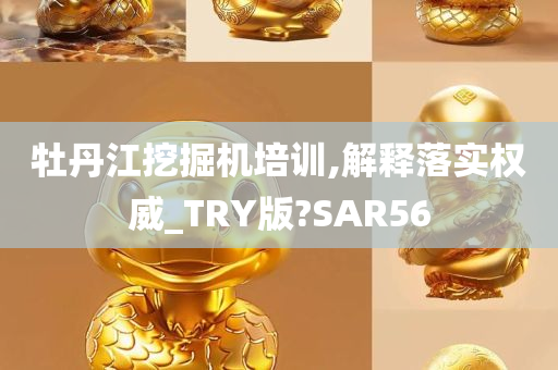 牡丹江挖掘机培训,解释落实权威_TRY版?SAR56