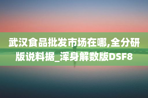 武汉食品批发市场在哪,全分研版说料据_浑身解数版DSF8