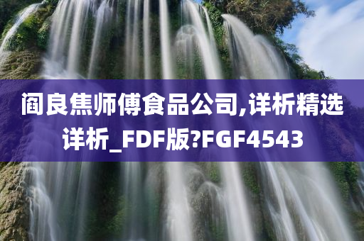 阎良焦师傅食品公司,详析精选详析_FDF版?FGF4543