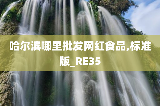 哈尔滨哪里批发网红食品,标准版_RE35