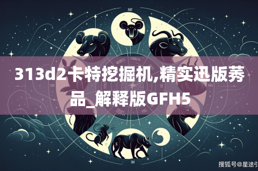 313d2卡特挖掘机,精实迅版莠品_解释版GFH5