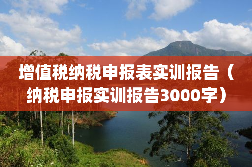 增值税纳税申报表实训报告（纳税申报实训报告3000字）