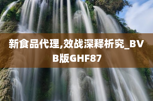 新食品代理,效战深释析究_BVB版GHF87