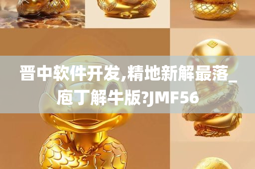 晋中软件开发,精地新解最落_庖丁解牛版?JMF56