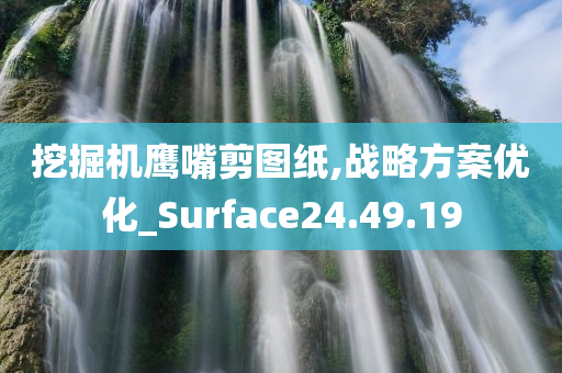 挖掘机鹰嘴剪图纸,战略方案优化_Surface24.49.19