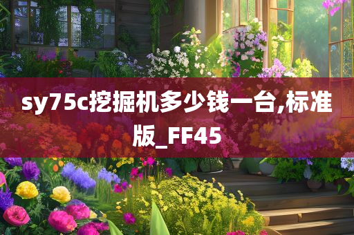 sy75c挖掘机多少钱一台,标准版_FF45